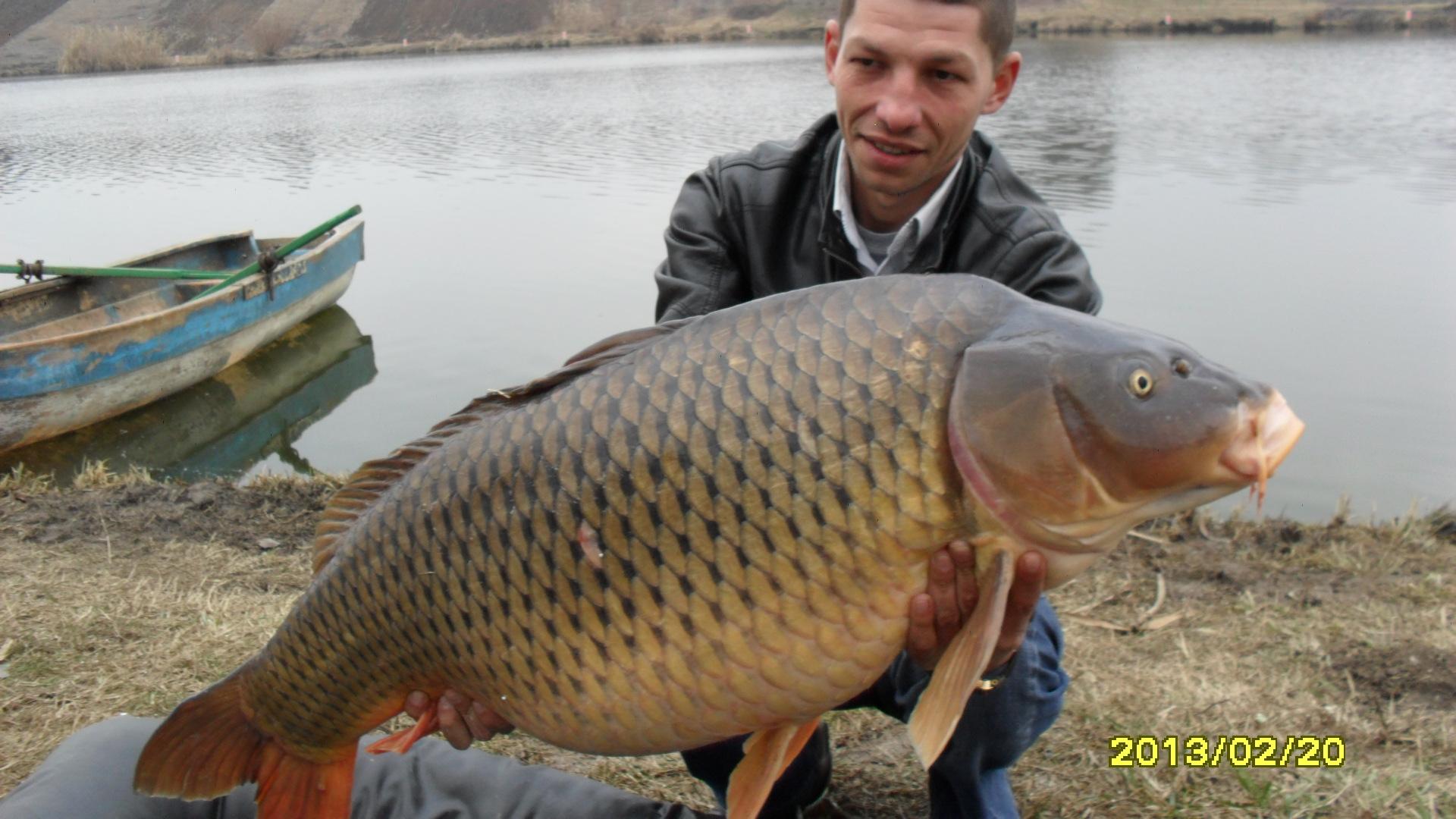 POPULARI MV2 - 2013 - 20.02.2013 - Crap 22 kg